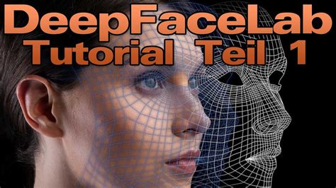 deepfacelab tutorial|deepfacelab single photo.